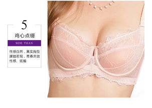 定型锁脂 功能型内衣 茜茜公主内衣加盟