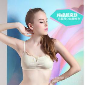 硕果内衣加盟需要多少钱 硕果内衣加盟费是多少 硕果内衣加盟详情 3158创业信息网