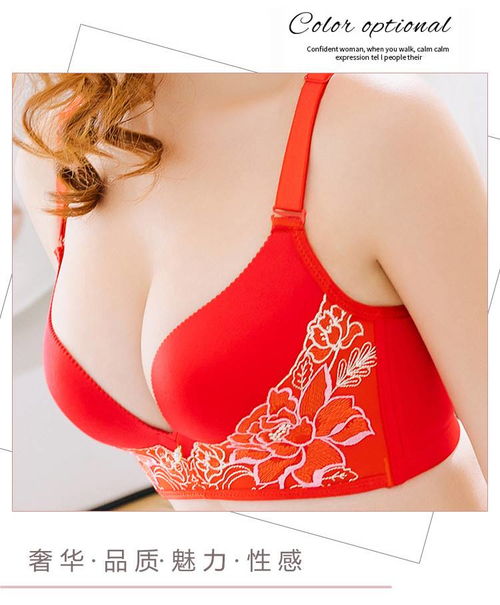 内衣女士无钢圈聚拢调整型小胸文胸罩收副乳防下垂上托性感