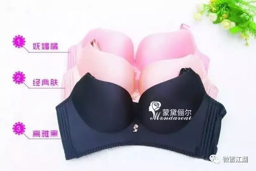 微蜜家族产品介绍
