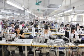 广东荷塘内衣行业打响品牌战