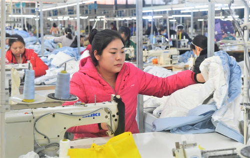 大洋服装 内衣产品俏销国内外市场