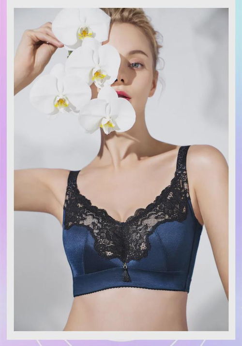 重塑内衣结构,解决夏日大烦恼——蝴蝶堂维纳贝拉内衣新品发布